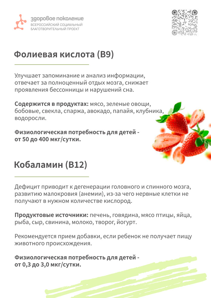 Гайд по продуктам для детей 12