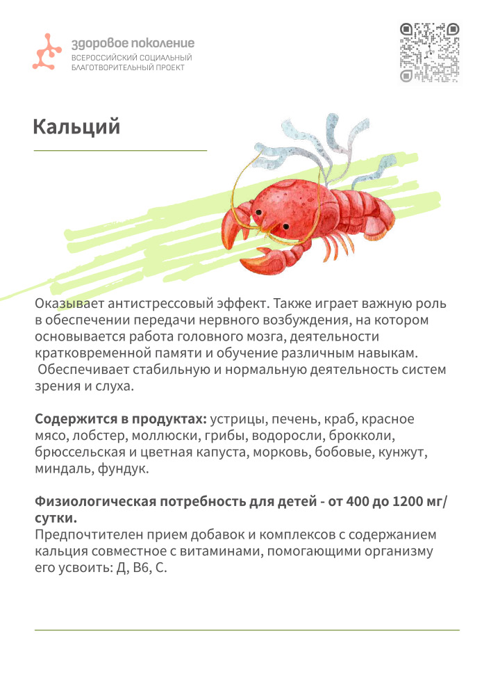 Гайд по продуктам для детей 16